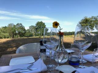 Villa BlauwHemel Diever - Diever - 3