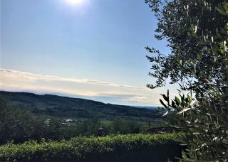 Valpolicella Hills - Negrar - 1