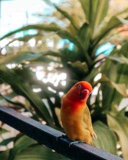 Baan Rabieng Talay Homestayบ้านระเบียงทะเล โฮมสเตย์เกาะกูด - 1