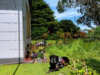 Twelve Apostles Motel & Country Retreat - 1