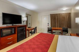 Econo Lodge North Charlottesville - Charlottesville - 3