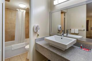 Econo Lodge North Charlottesville - Charlottesville - 2