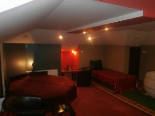 HOTEL VILA MITIC LUXX SPA centar - Leskovac - 7