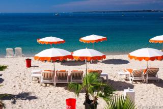 Flore - Juan-les-Pins - 9