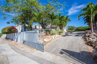 Mees Mansion - Jan Thiel - 1