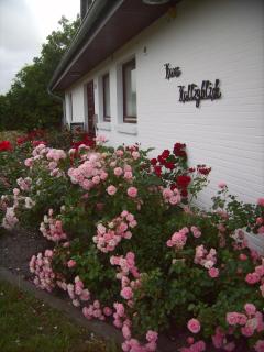 Haus-Halligblick-Ferienwohnung-Oland - Dagebüll - 8