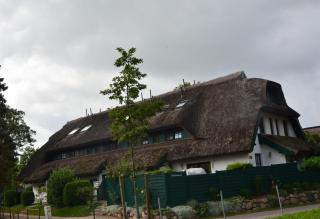 Grosses-Reethaus-Sanddorn - Groß Zicker - 9