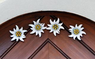 Haus an der Litz - Schruns - 5