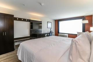 Holiday Inn Express & Suites Allen Park by IHG - Allen Park - 8