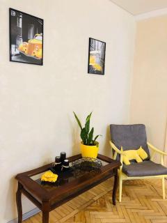 Sunflower Apartment near Kiev airport & railway station & center city! - Kiev - 4