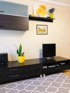 Sunflower Apartment near Kiev airport & railway station & center city! - Kiev - 2