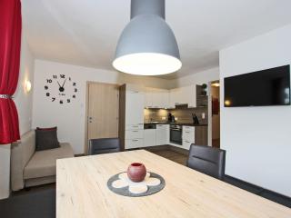 Apartment in Mayrhofen with garden - Schwendau - 7