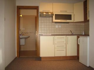 Chata - Apartmán Čistá v Krkonoších - Černý Důl - 2