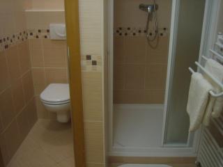Chata - Apartmán Čistá v Krkonoších - Černý Důl - 1