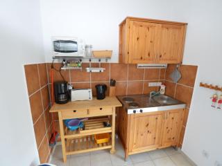 Apartment in Bohemian with Private Terrace - Dolní Lánov - 4