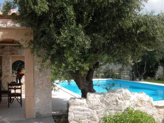 Sprawling Vlilla in Malades - 5