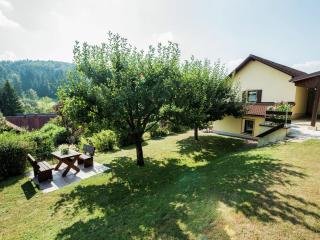 Apartment near the forest in Plankenstein - Plankenfels - 0