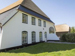 Apartment in tasteful farmhouse in De Cocksdorp, on the Wadden island of Texel - De Cocksdorp - 0
