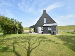 Classy Villa in Tzummarum with Terrace, Garden - Tzummarum - 0