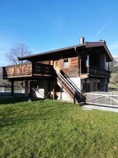 Ferienhaus Auerbauer - Brixen im Thale - 1
