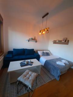 Studio apartman Paun Vila Elsa I Zlatibor - Zlatibor - 8