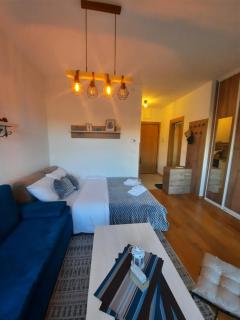 Studio apartman Paun Vila Elsa I Zlatibor - Zlatibor - 7