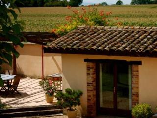 Les Barelles - Saint-Jean-de-Thurigneux - 9