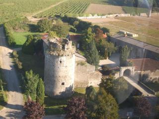 Château de la Galissonnière - Le Pallet - 6