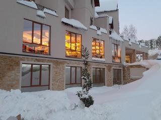 Dream Milmari L12 Apartman - Kopaonik - 4