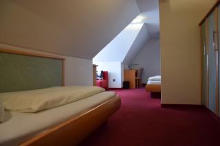 Hotel Roter Löwe - Ulm - 1
