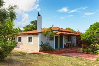 Lithies Organic Farm - Vasilikos - 5