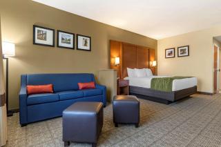 Comfort Inn & Suites - Orangeburg - 1