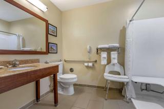 Comfort Inn & Suites - Orangeburg - 2