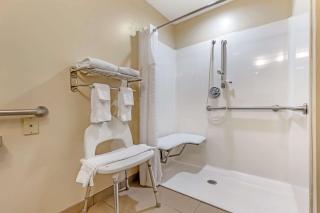 Comfort Inn & Suites - Orangeburg - 3