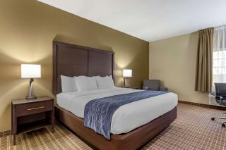 Comfort Inn St Robert-Fort Leonard Wood - Saint Robert - 5