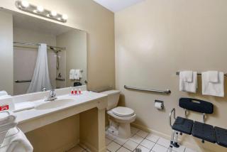 Econo Lodge Inn & Suites - Granite City - 3