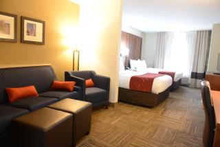 Comfort Suites Urbana Champaign, University Area - Champaign - 9