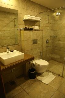 Ana Clarks Inn - Chandīgarh - 1