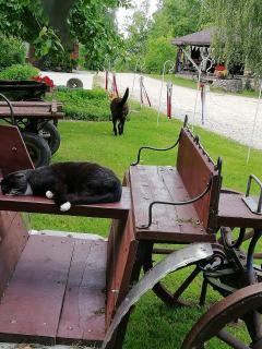 Kučuru dzirnavas - 3