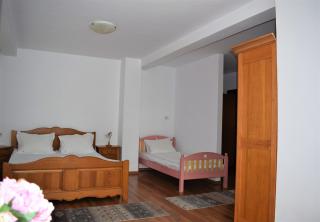 Vila Brad - Predeal - 7
