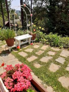 Chalé pinheiro velho - 1