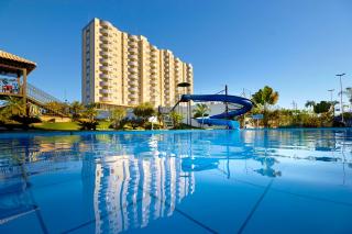 Golden Dolphin Express Oficial - 8