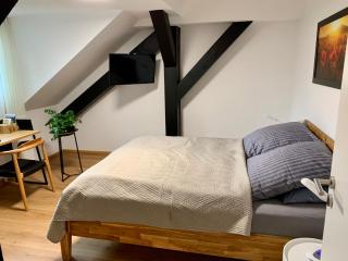 Gala Apartment am Kurpark - Bad Rothenfelde - 4