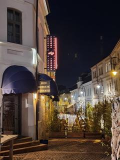 ACSA INN - Craiova - 0