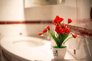 Gran Suite Piazza Maggiore - T&T communications - Bologna - 5