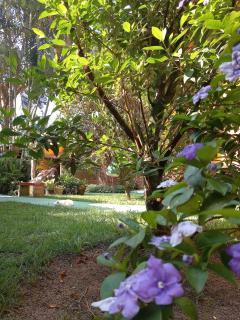 Recanto das Flores Lofts - Ilha Grande Rj - Abraão - 1