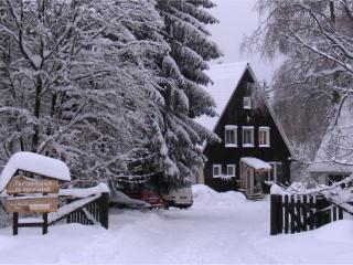 Spacious holiday home near the ski area - Braunlage - 9