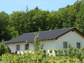 Holiday Home in Hinterhausen with garden - 0