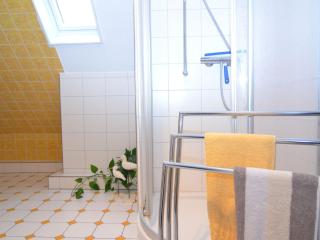 Apartment in Wehrstapel Sauerland with garden - Meschede - 2