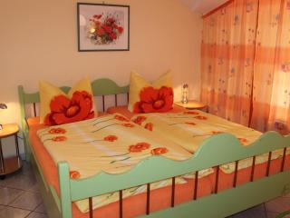 Apartment in Weibig with garden - Weißig - 4